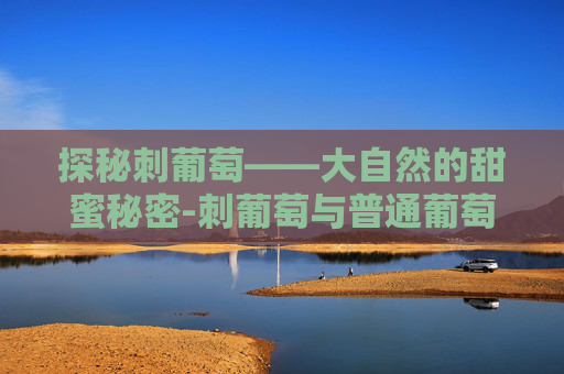 探秘刺葡萄——大自然的甜蜜秘密-刺葡萄与普通葡萄的区别