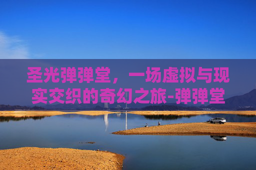 圣光弹弹堂，一场虚拟与现实交织的奇幻之旅-弹弹堂光圣灵