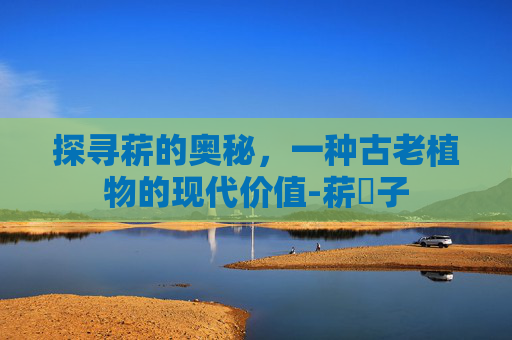 探寻菥的奥秘，一种古老植物的现代价值-菥蓂子