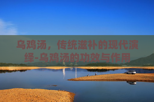 乌鸡汤，传统滋补的现代演绎-乌鸡汤的功效与作用