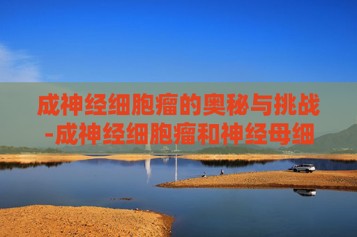 成神经细胞瘤的奥秘与挑战-成神经细胞瘤和神经母细胞瘤