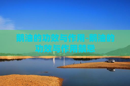 鹅油的功效与作用-鹅油的功效与作用禁忌