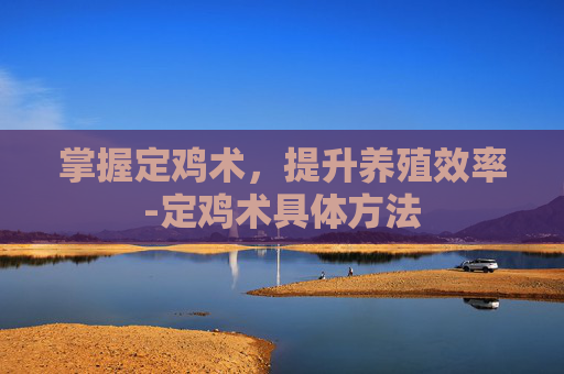 掌握定鸡术，提升养殖效率-定鸡术具体方法