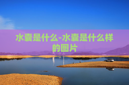 水囊是什么-水囊是什么样的图片