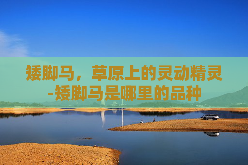 矮脚马，草原上的灵动精灵-矮脚马是哪里的品种