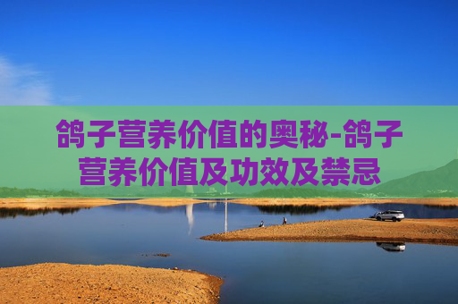 鸽子营养价值的奥秘-鸽子营养价值及功效及禁忌