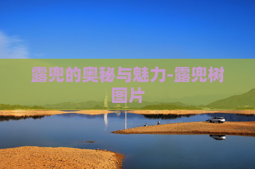 露兜的奥秘与魅力-露兜树图片