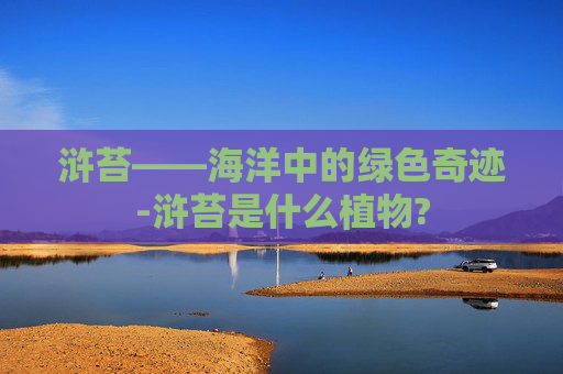 浒苔——海洋中的绿色奇迹-浒苔是什么植物?