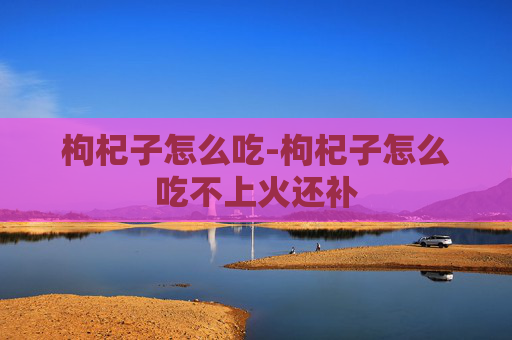 枸杞子怎么吃-枸杞子怎么吃不上火还补