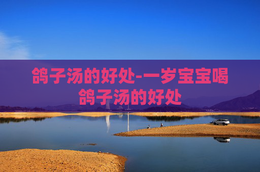 鸽子汤的好处-一岁宝宝喝鸽子汤的好处