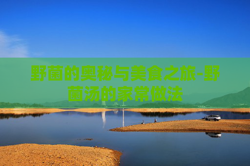 野菌的奥秘与美食之旅-野菌汤的家常做法