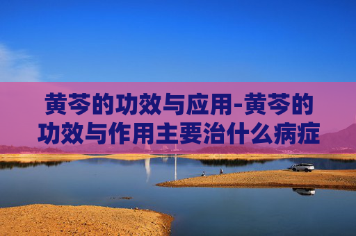 黄芩的功效与应用-黄芩的功效与作用主要治什么病症