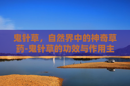 鬼针草，自然界中的神奇草药-鬼针草的功效与作用主要治什么病