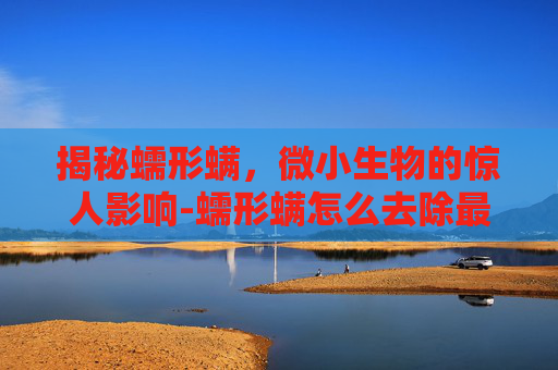 揭秘蠕形螨，微小生物的惊人影响-蠕形螨怎么去除最有效方法