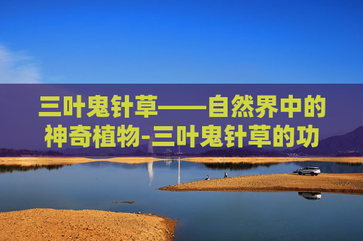 三叶鬼针草——自然界中的神奇植物-三叶鬼针草的功效与作用