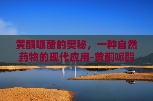黄酮哌酯的奥秘，一种自然药物的现代应用-黄酮哌酯片的功能和作用