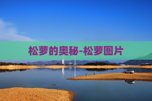 松萝的奥秘-松萝图片