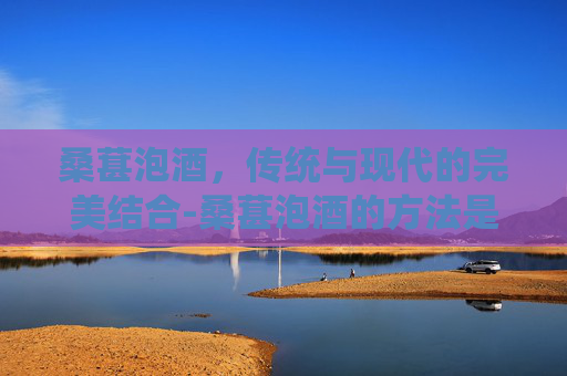桑葚泡酒，传统与现代的完美结合-桑葚泡酒的方法是怎么泡