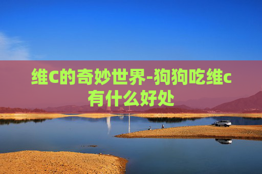 维C的奇妙世界-狗狗吃维c有什么好处