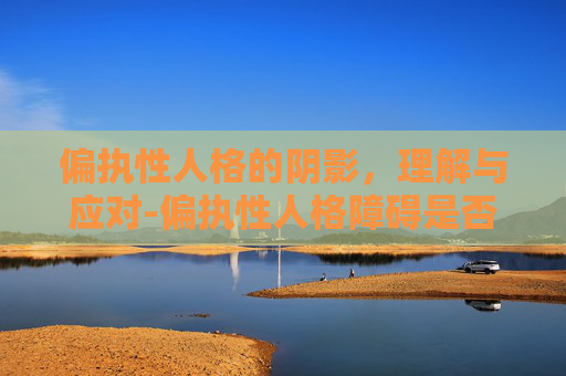 偏执性人格的阴影，理解与应对-偏执性人格障碍是否属于精神病