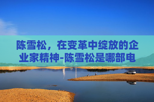 陈雪松，在变革中绽放的企业家精神-陈雪松是哪部电影里的