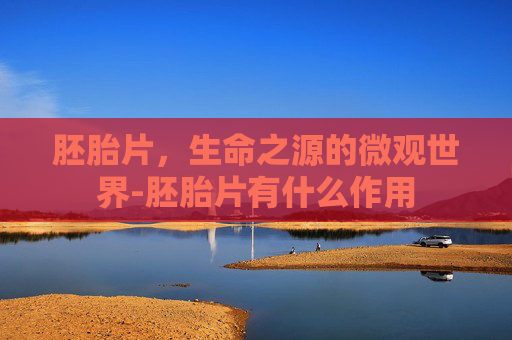 胚胎片，生命之源的微观世界-胚胎片有什么作用