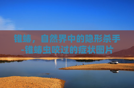 锥蝽，自然界中的隐形杀手-锥蝽虫咬过的症状图片