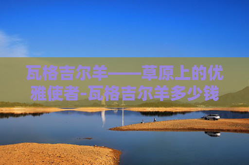 瓦格吉尔羊——草原上的优雅使者-瓦格吉尔羊多少钱一只