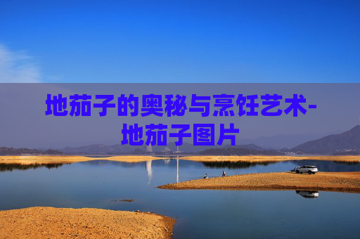 地茄子的奥秘与烹饪艺术-地茄子图片