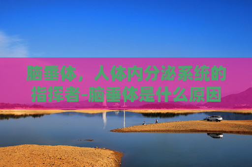 脑垂体，人体内分泌系统的指挥者-脑垂体是什么原因引起的