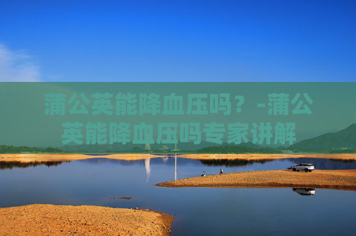 蒲公英能降血压吗？-蒲公英能降血压吗专家讲解