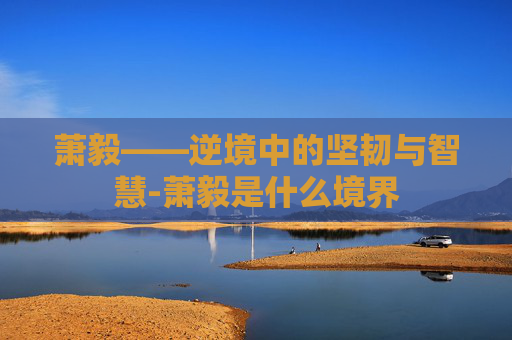 萧毅——逆境中的坚韧与智慧-萧毅是什么境界