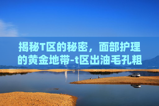 揭秘T区的秘密，面部护理的黄金地带-t区出油毛孔粗大怎么改善