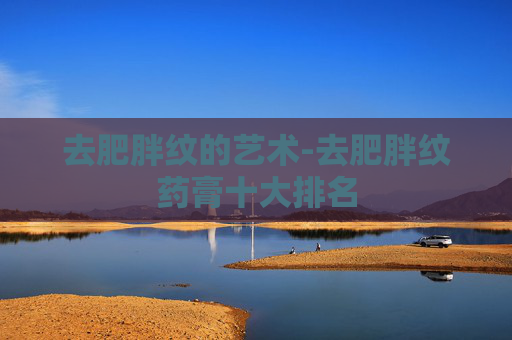 去肥胖纹的艺术-去肥胖纹药膏十大排名