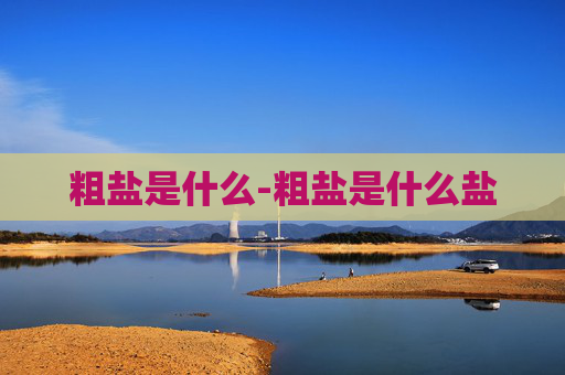 粗盐是什么-粗盐是什么盐