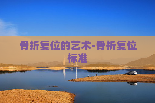 骨折复位的艺术-骨折复位标准