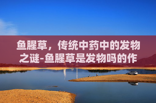 鱼腥草，传统中药中的发物之谜-鱼腥草是发物吗的作用与功效