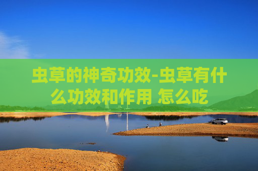 虫草的神奇功效-虫草有什么功效和作用 怎么吃