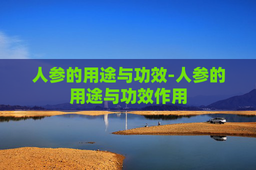 人参的用途与功效-人参的用途与功效作用