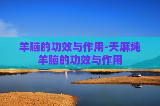 羊脑的功效与作用-天麻炖羊脑的功效与作用
