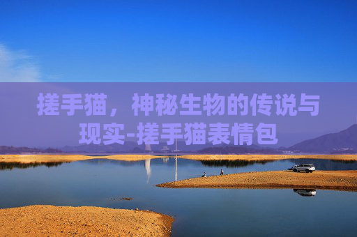 搓手猫，神秘生物的传说与现实-搓手猫表情包