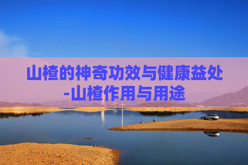 山楂的神奇功效与健康益处-山楂作用与用途
