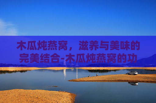 木瓜炖燕窝，滋养与美味的完美结合-木瓜炖燕窝的功效与作用