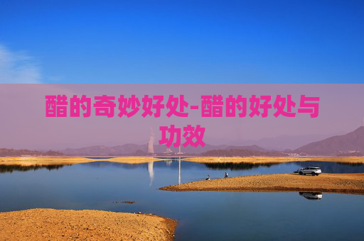 醋的奇妙好处-醋的好处与功效