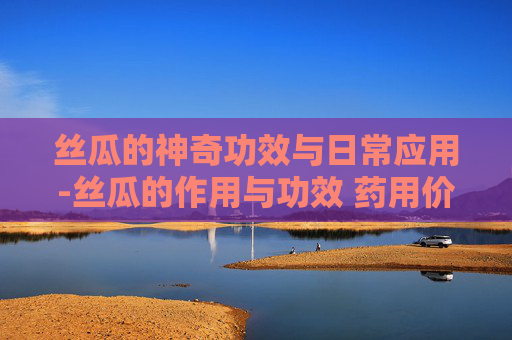丝瓜的神奇功效与日常应用-丝瓜的作用与功效 药用价值