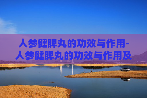 人参健脾丸的功效与作用-人参健脾丸的功效与作用及禁忌