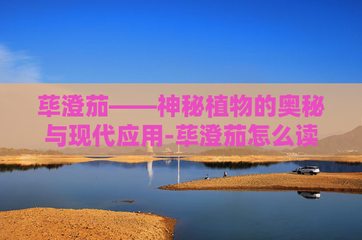 荜澄茄——神秘植物的奥秘与现代应用-荜澄茄怎么读