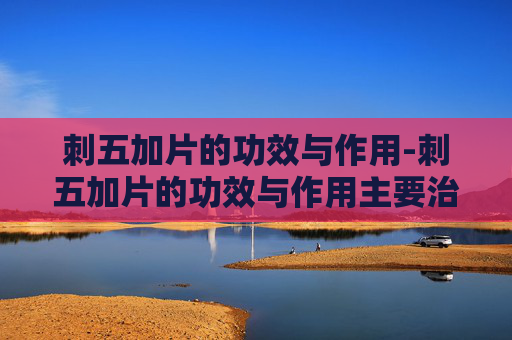 刺五加片的功效与作用-刺五加片的功效与作用主要治什么病