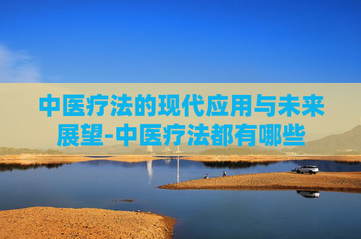 中医疗法的现代应用与未来展望-中医疗法都有哪些