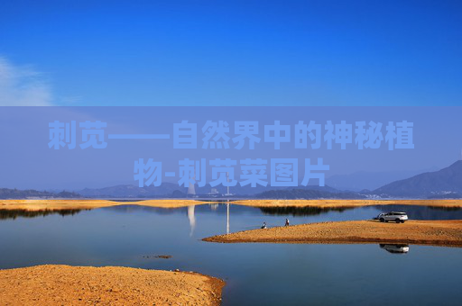 刺苋——自然界中的神秘植物-刺苋菜图片